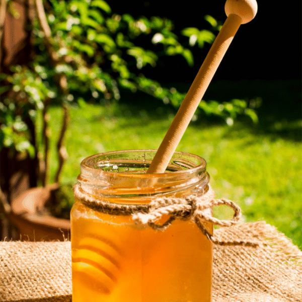 FOREST HONEY